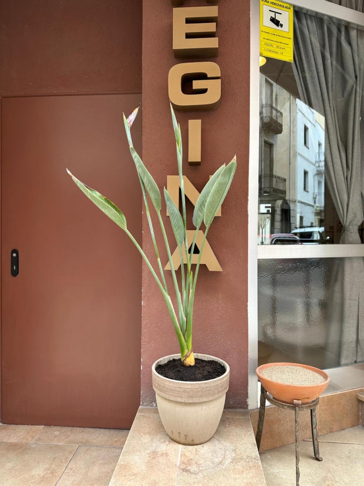 Gasthof Regina Blanes